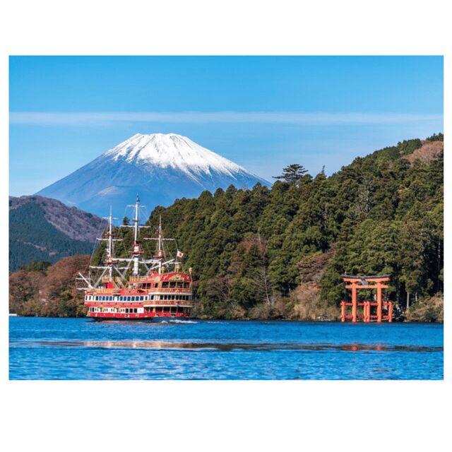 Tokyo to Mt. Fuji & Hakone: Private Customizable Day Trip - The Benefits of a Private, Tailor-Made Trip