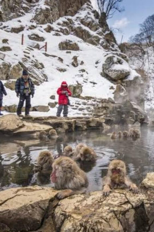Tokyo To Nagano (Snow Monkey Zenkoji Temple Private Tour) - Matsushiro Castle Ruins: A Touch of Feudal History