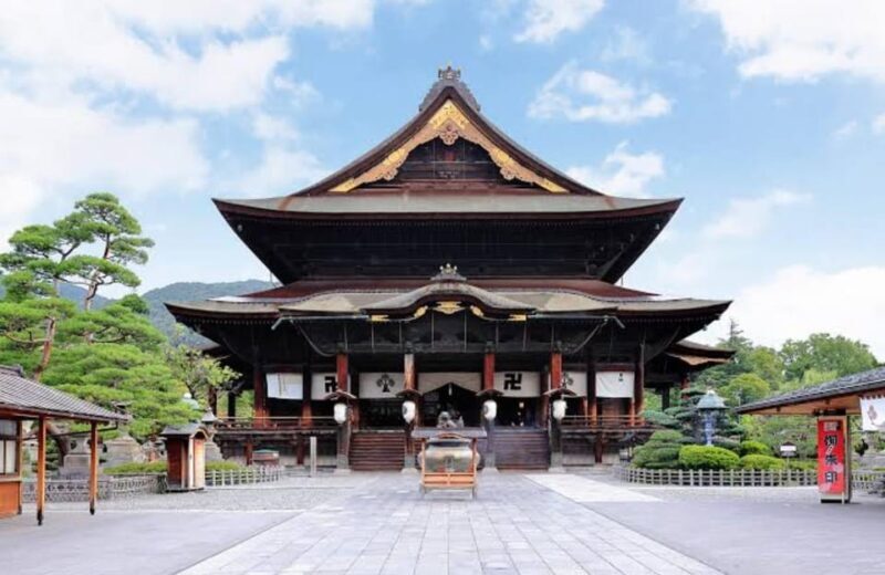 Tokyo To Nagano (Snow Monkey Zenkoji Temple Private Tour) - What Travelers Say