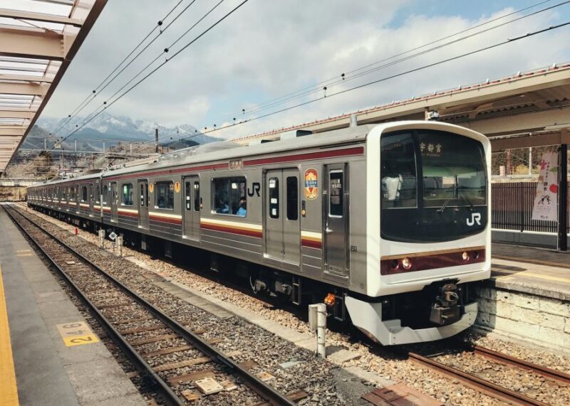 Tokyo to Nikko: Exclusive Private Day Trip - What’s Included and What’s Not?