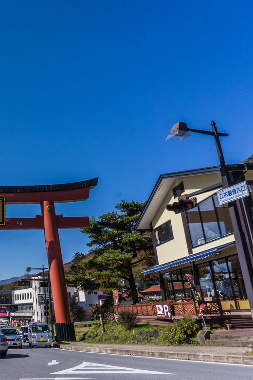 Tokyo to Nikko: Exclusive Private Day Trip - Practicalities and Tips
