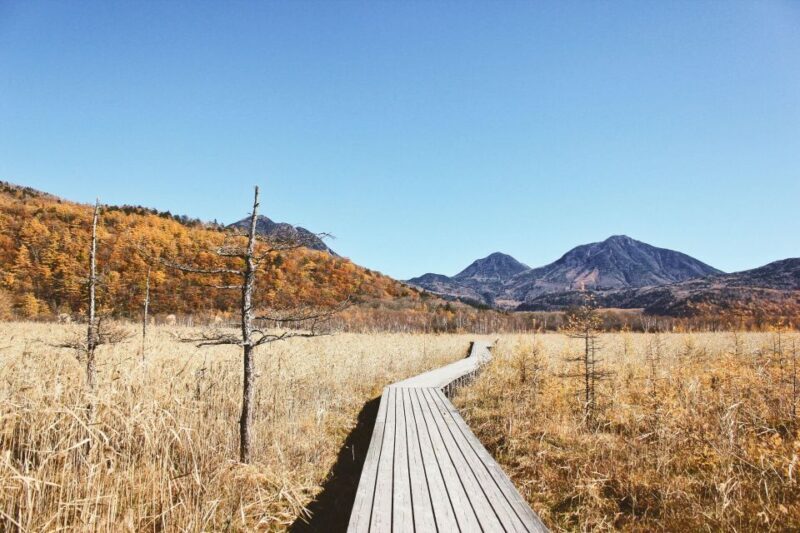 Tokyo to Nikko: Exclusive Private Day Trip - The Sum Up