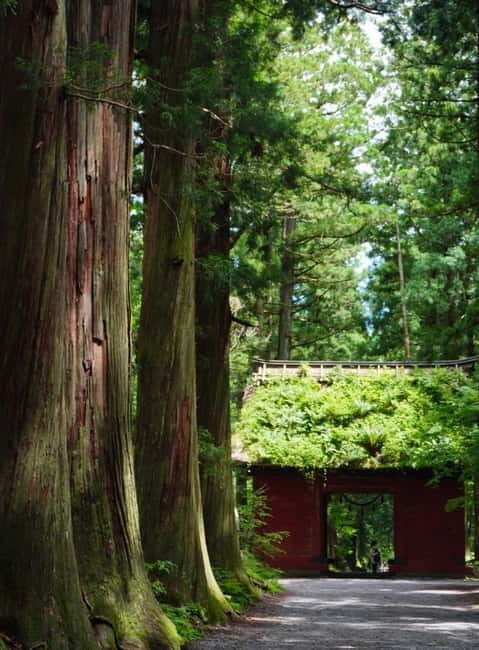 Tokyo: Togakushi Sacred Trail Day Tour with Shinkansen - An Authentic Day Trip into Japan’s Sacred Mountains