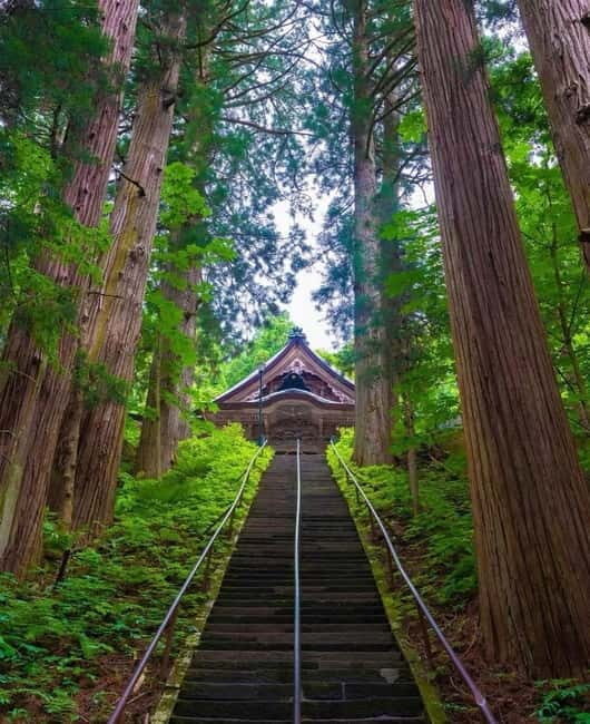 Tokyo: Togakushi Sacred Trail Day Tour with Shinkansen - Is This Tour Worth the Price?
