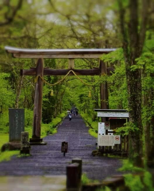 Tokyo: Togakushi Sacred Trail Day Tour with Shinkansen - Final Thoughts