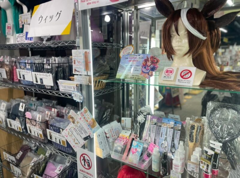 Tokyo: Tour around 10 charms to know Akihabara! - Who Should Consider This Tour?