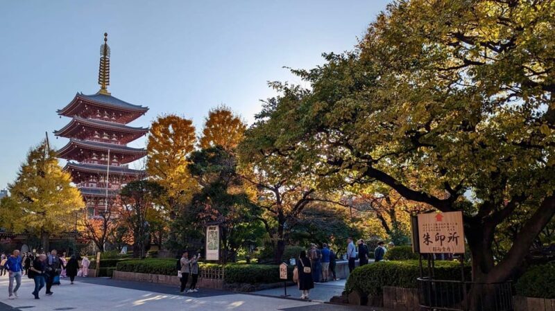 Tokyo: Tour Privado por Tokio en español - A Deep Dive into the Experience
