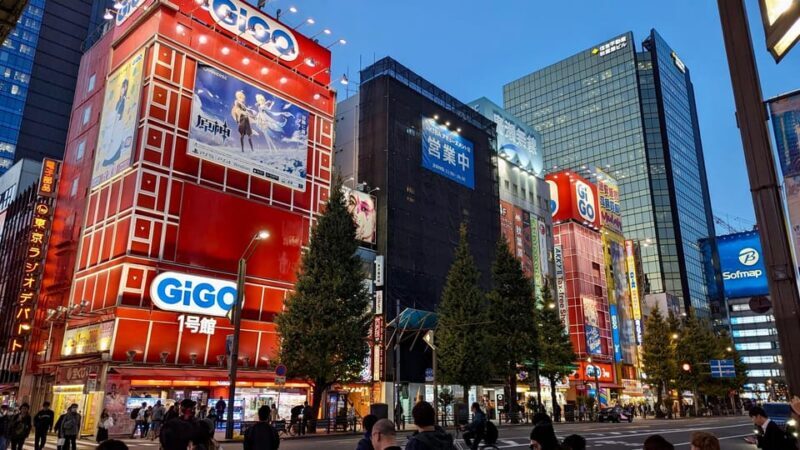 Tokyo: Tour Privado por Tokio en español - Who Will Love This Tour?