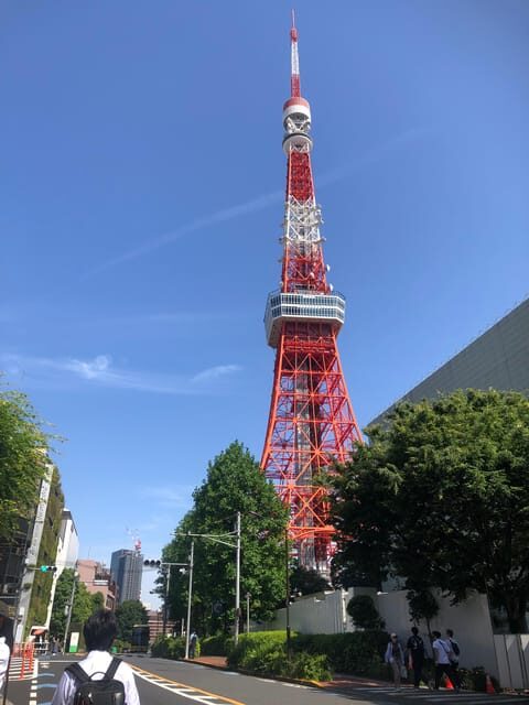 Tokyo Tours in Spanish (Tsukiji Market-Ginza-Tokyo Tower) - Who Should Consider This Tour?
