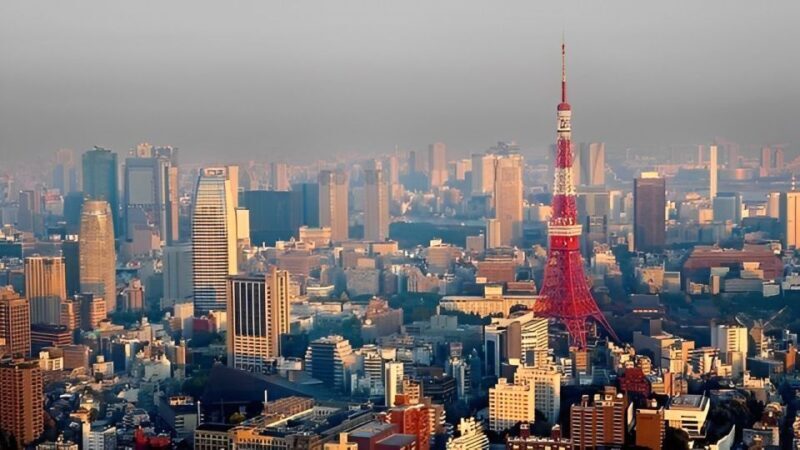 Tokyo Tower: Entry Ticket & Private Hotel Pickup Service - Visiting Tokyo Tower: What to Expect