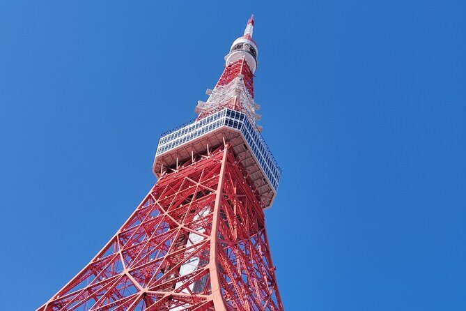 Tokyo Tower Tour Top Deck Views of Shinjuku and Mt. Fuji - Who Is This Tour Best For?