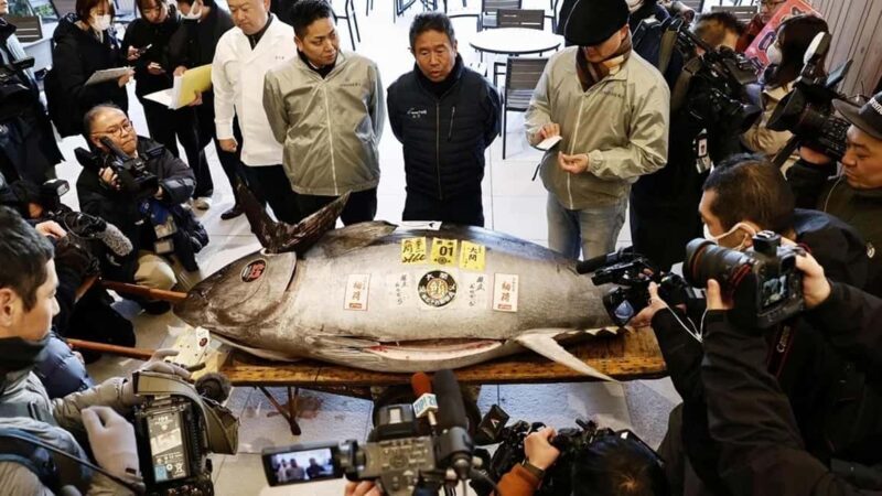 Tokyo: Toyosu Tuna Auction &Tsukiji Market Gourmet Adventure - Tokyo: Toyosu Tuna Auction & Tsukiji Market Gourmet Adventure — A Detailed Look