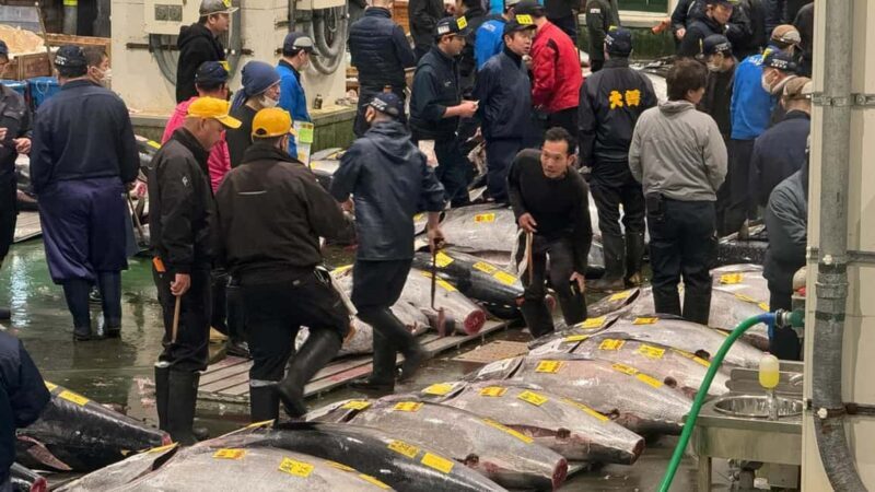 Tokyo: Toyosu Tuna Auction &Tsukiji Market Gourmet Adventure - FAQs