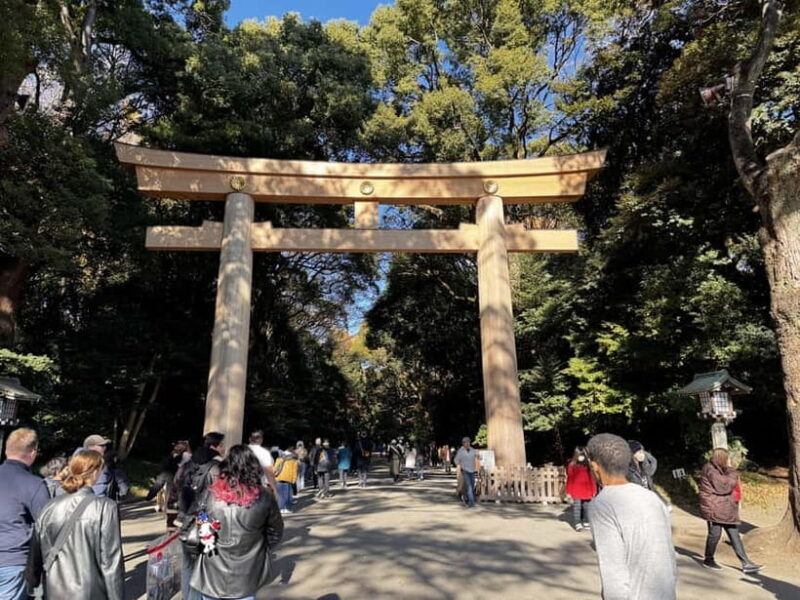 Tokyo: Traditional Shrine and Temple with Conbini Hopping - Who Should Consider This Tour?