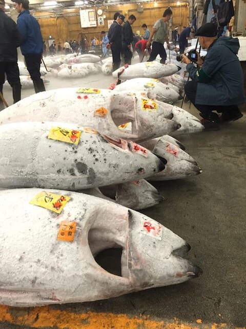 Tokyo: Tsukiji Fish Market Foodie and Educational Tour - Authentic Experiences You Can Expect