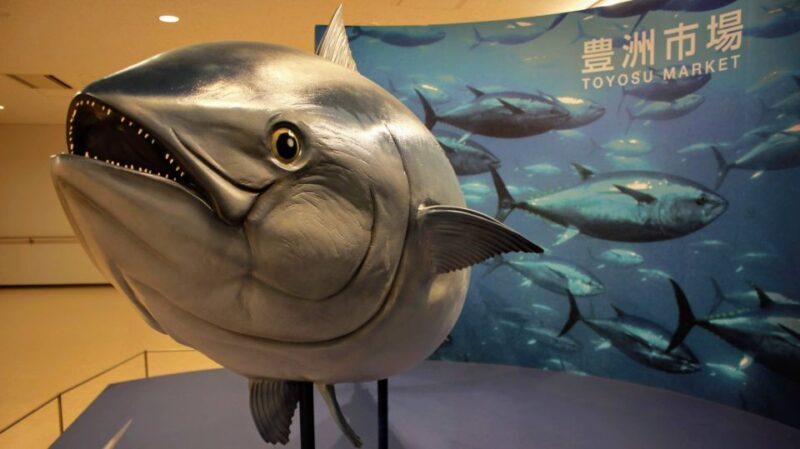 Tokyo Tsukiji Food & Culture Private Tour Licensed Guide - Authentic Reviews: What Travelers Say