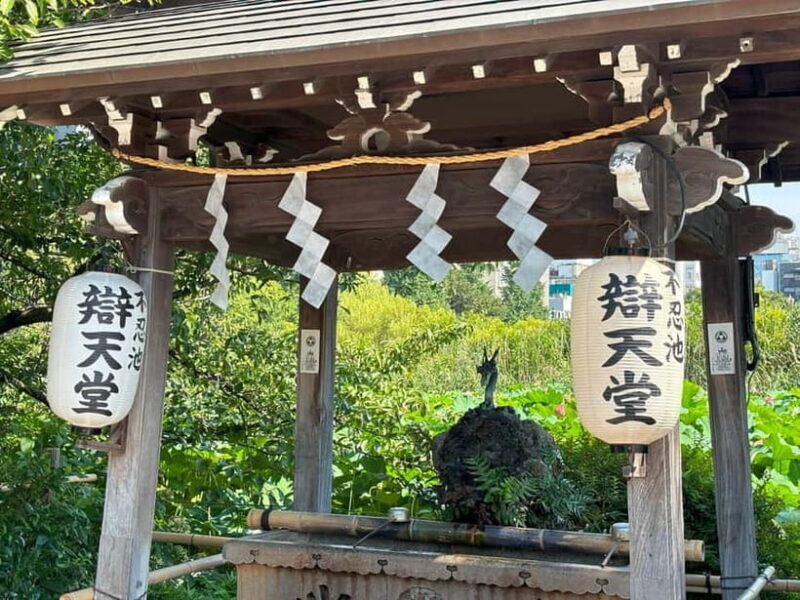 Tokyo: Ueno Park and Ameyoko Street Walking Tour - An In-Depth Look at the Ueno Park and Ameyoko Tour