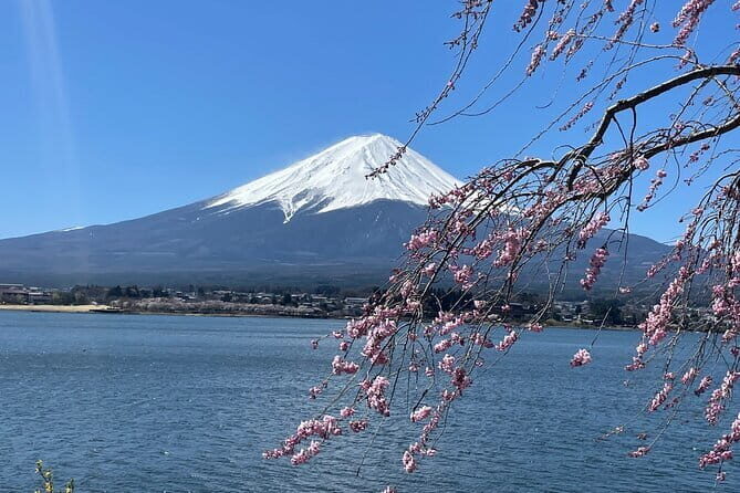 Tokyo Unlocked: A Private Day of Culture, Cuisine & City Secrets - Final Thoughts