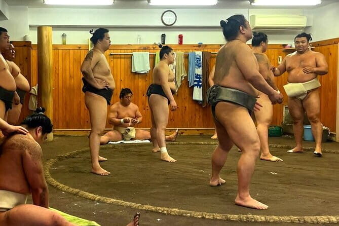 Tokyo Walking Tour : Sumo, Sushi, Tea, Temples and Tokyo Tower - Key Points
