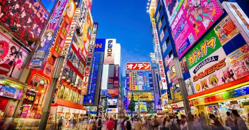 Tokyo: Winter Illuminations Private Tour with a Local - Who Would Love This Tour?