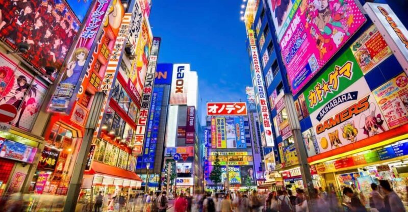 Tokyo: Winter Illuminations Private Tour with a Local - The Sum Up