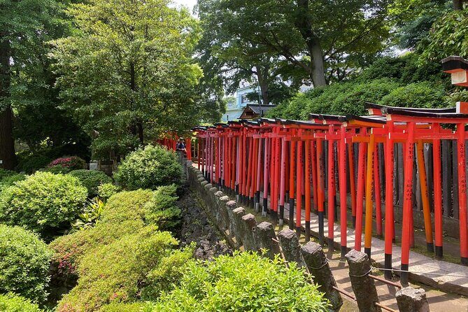 Tokyo : Yanaka and Nezu-Old Traditional Town Cultural Experience - Who Will Love This Tour?