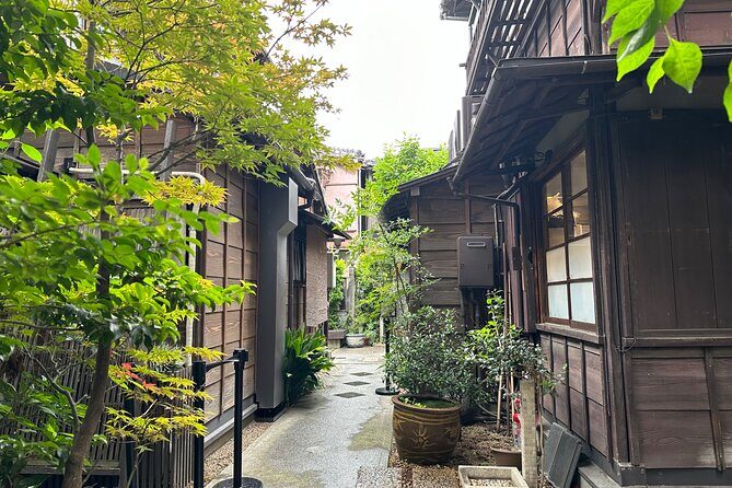 Tokyo : Yanaka and Nezu-Old Traditional Town Cultural Experience - Final Thoughts