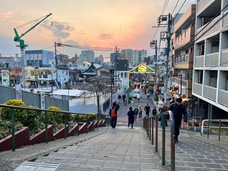 Tokyo Yanaka Old Town Walking Tour (Private/Local guide) - Art, Antique Shops, and Craft Stores