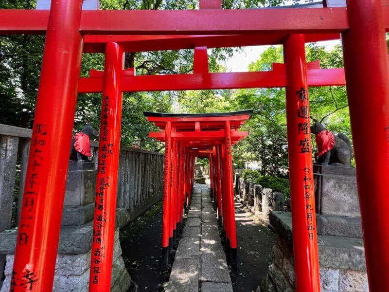 Tokyo: Yanaka & Ueno, Tokyo of Tradition Guided Tour - Key Points