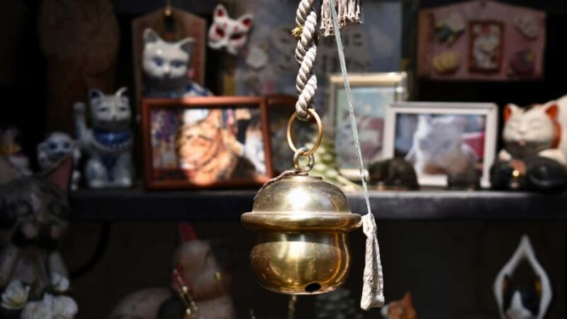 Tokyo: Yanaka & Ueno, Tokyo of Tradition Guided Tour - Detailed Breakdown of the Experience