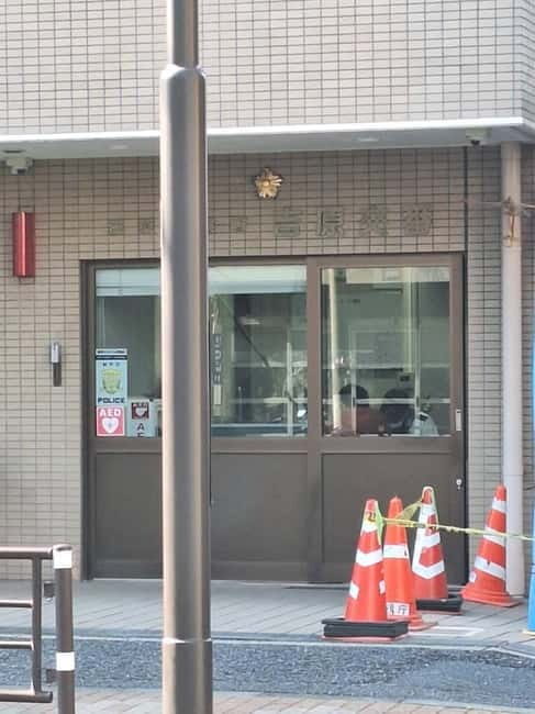 Tokyo: Yoshiwara Brothel History Walking Tour - An In-Depth Look at the Yoshiwara Brothel History Walking Tour