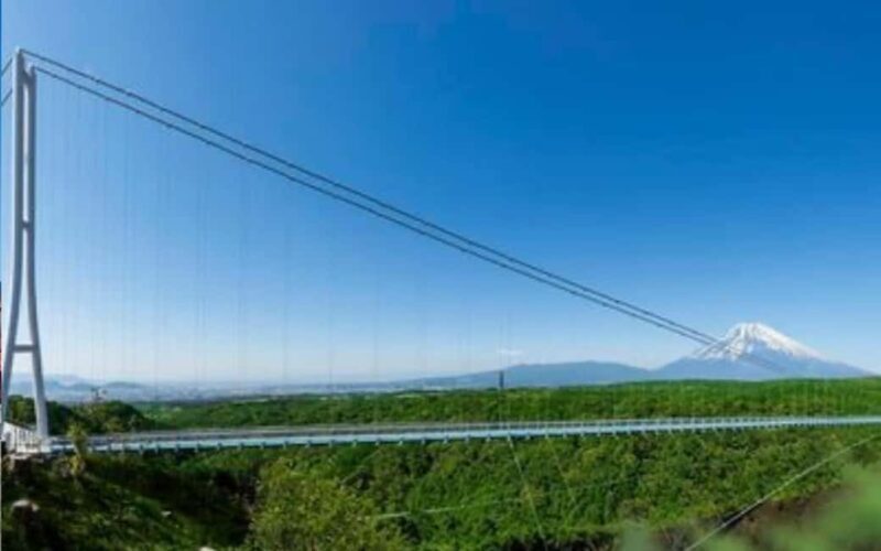 Tokyo:Customizable Private Day Trip to Mt.Fuji & Safari Park - Insights from Travelers’ Reviews