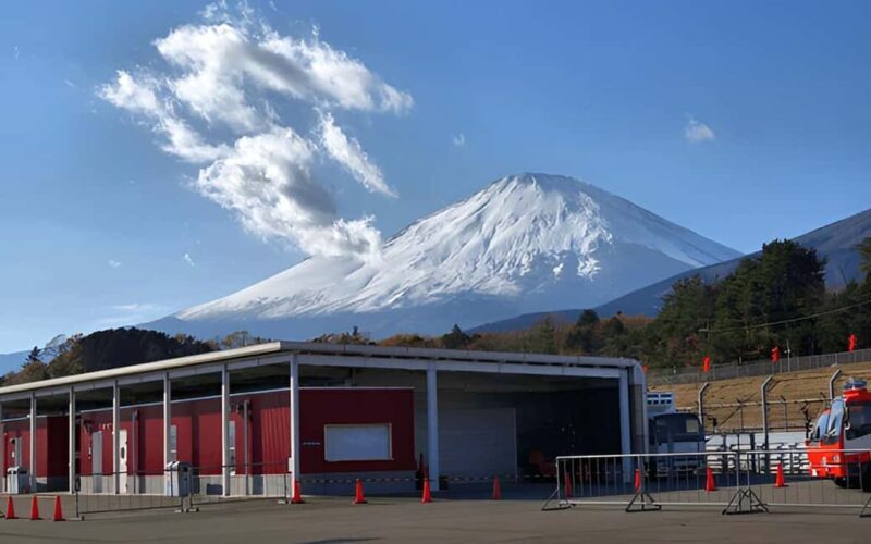 Tokyo:Customizable Private Day Trip to Mt.Fuji & Safari Park - Who Is This Tour Best For?