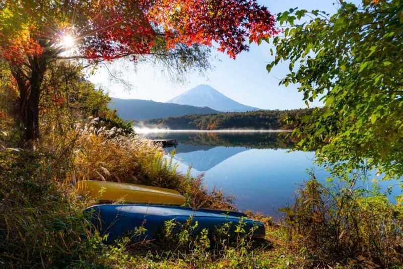 Tokyo:Customizable Private Day Trip to Mt.Fuji & Safari Park - FAQ
