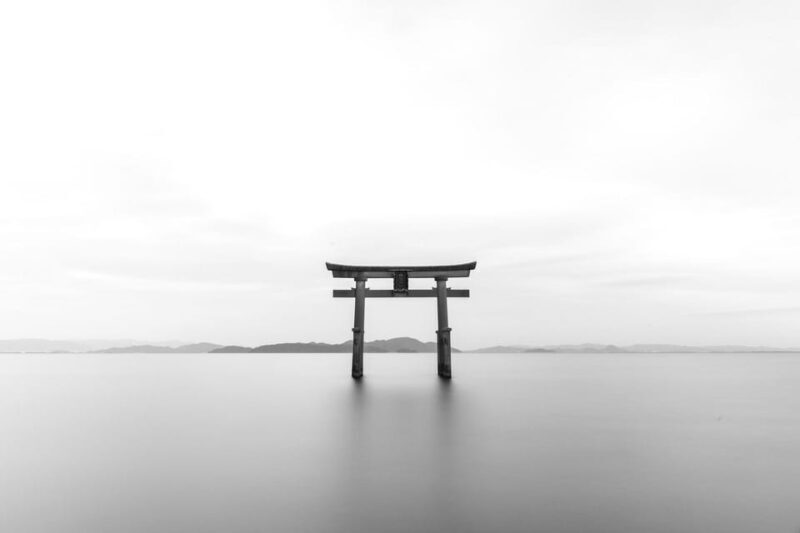 Tokyo:Hitachi seaside Park/Oarai isosaki shrine private tour - An In-Depth Look at the Coastal Treasures Tour
