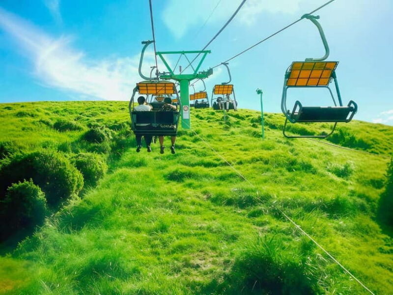 Tokyo:Izu Penisula Train Mt Omuro, Capybara Sightseeing Trip - Who Is This Tour Best For?