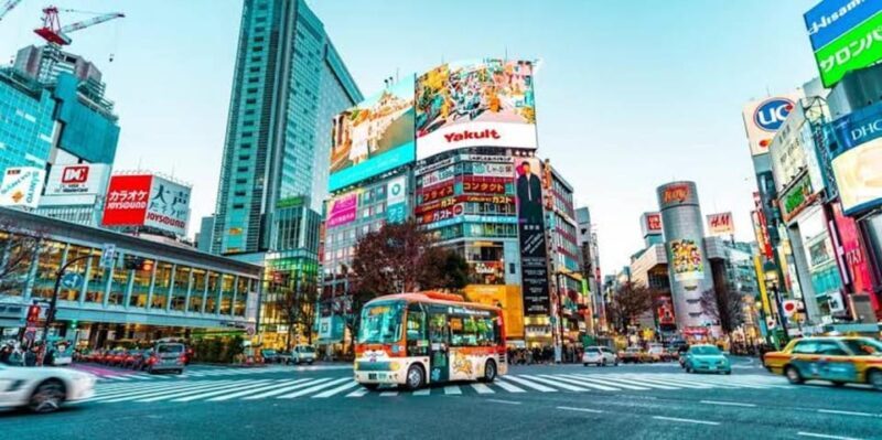 Tokyo:Luxury Private Tour with English-Speaking driver - An In-Depth Look at the Experience