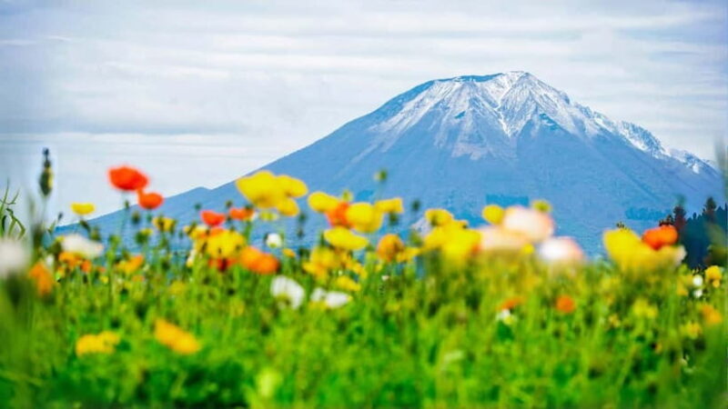 Tokyo:Mt. Fuji 5th Station&Onsen Day Trip | Seasonal Special - The Itinerary in Detail