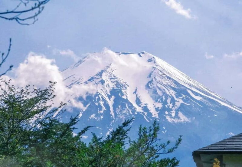 Tokyo:Mt. Fuji 5th Station&Onsen Day Trip | Seasonal Special - Who Will Love This Tour?