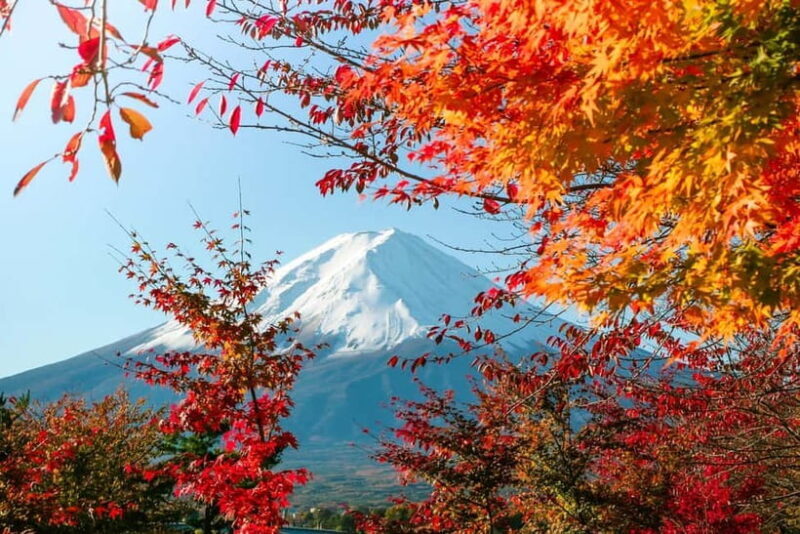 Tokyo:Mt.Fuji 5th Station,Oshino Hakkai&Kawaguchiko Day Tour - What to Expect from This Tour