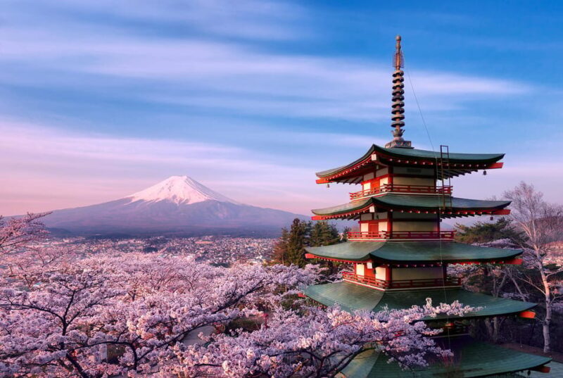 Tokyo:Mt Fuji & Hakone Day Tour with English Speaking Driver - An In-Depth Look at the Itinerary