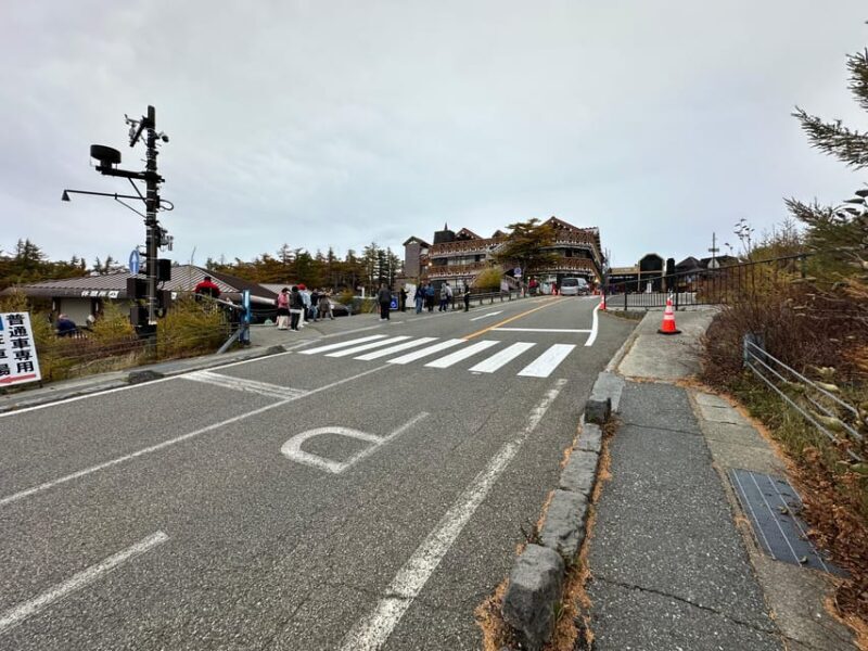 Tokyo:Mt Fuji & Hakone Day Tour with English Speaking Driver - Practical Details and Tips