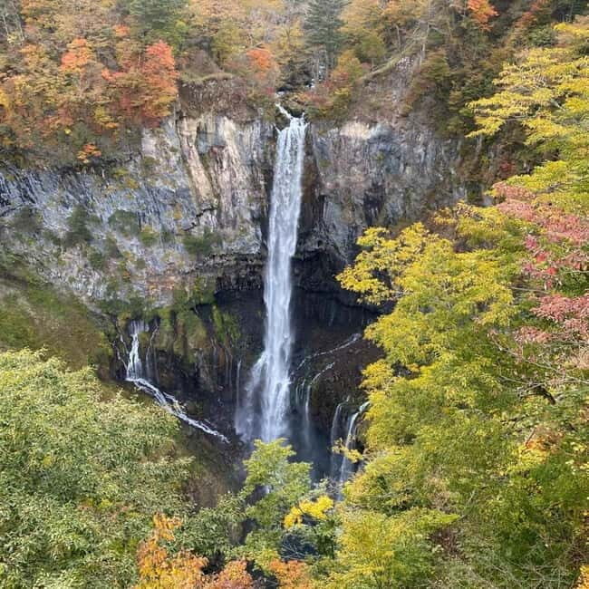 Tokyo:Nikko UNESCO World Heritage Sites Private 1-D…