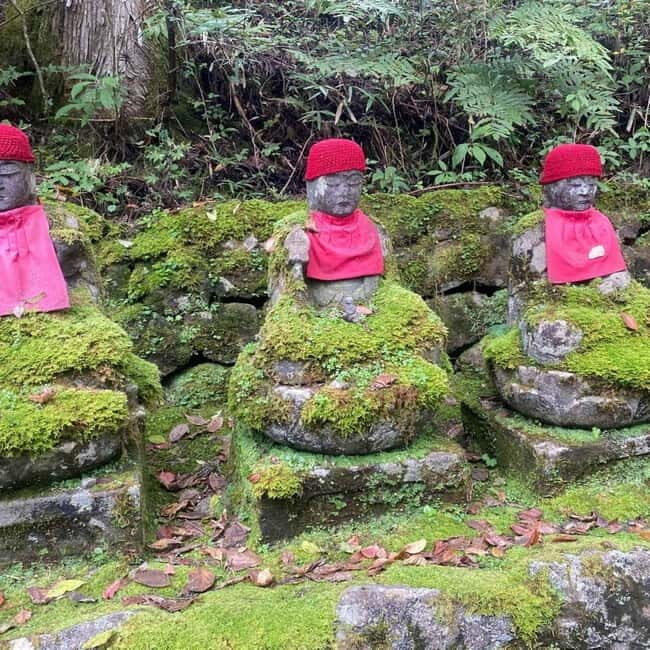 Tokyo:Nikko UNESCO World Heritage Sites Private 1-Day Tour - FAQ