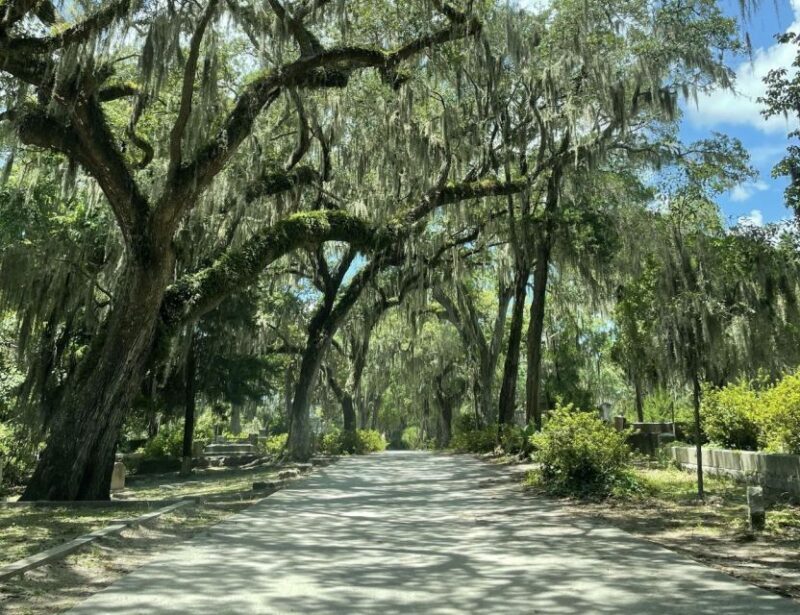 Tombs of Savannah: Bonaventure Cemetery Experience - Exploring Bonaventure Cemetery: What to Expect
