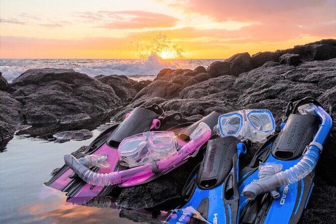 Tommy Bahama Beach Equipment Rental Essentials - Who Should Consider This Rental?