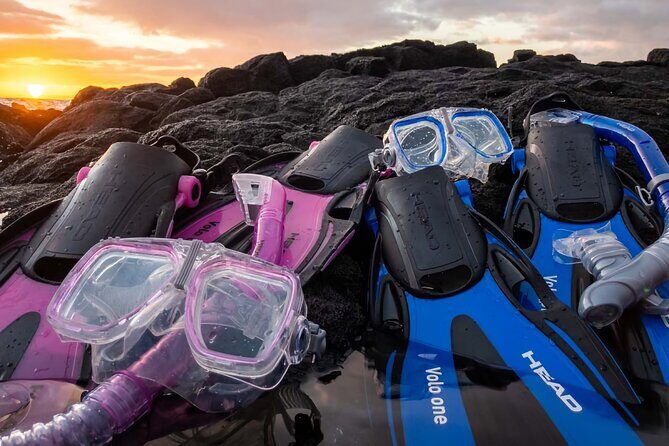 Tommy Bahama Beach Equipment Rental Essentials - FAQ