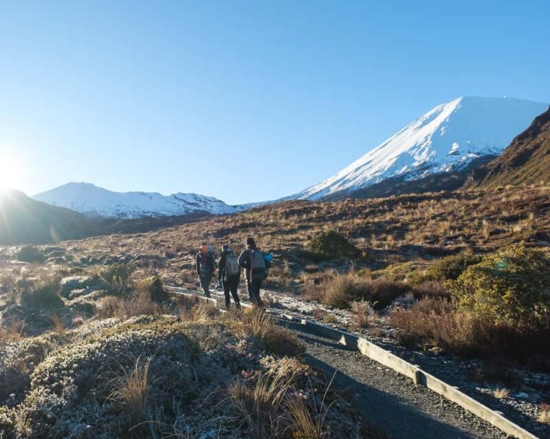 Tongariro Alpine Half Day Guided Group Walk - Key Points