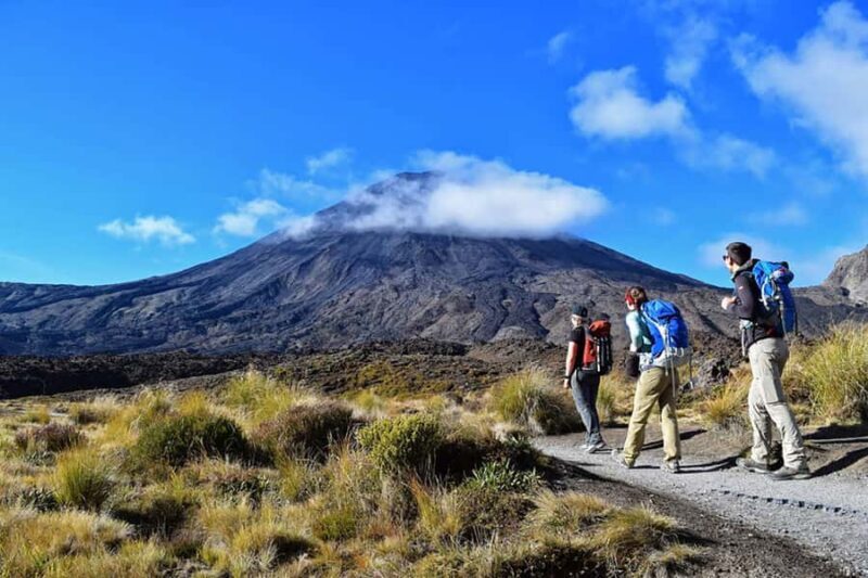 Tongariro Alpine Half Day Guided Group Walk - What to Expect on the Tour