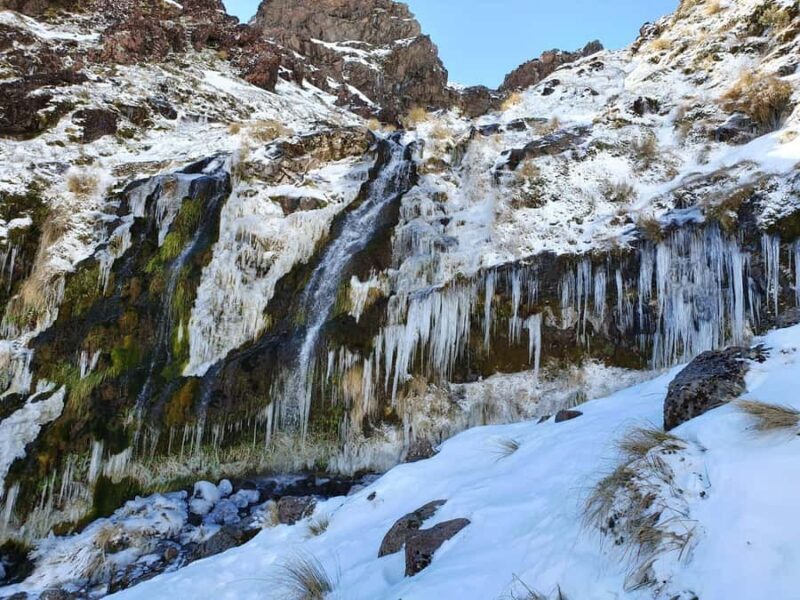 Tongariro Alpine Half Day Guided Group Walk - The Reviews: What Travelers Say